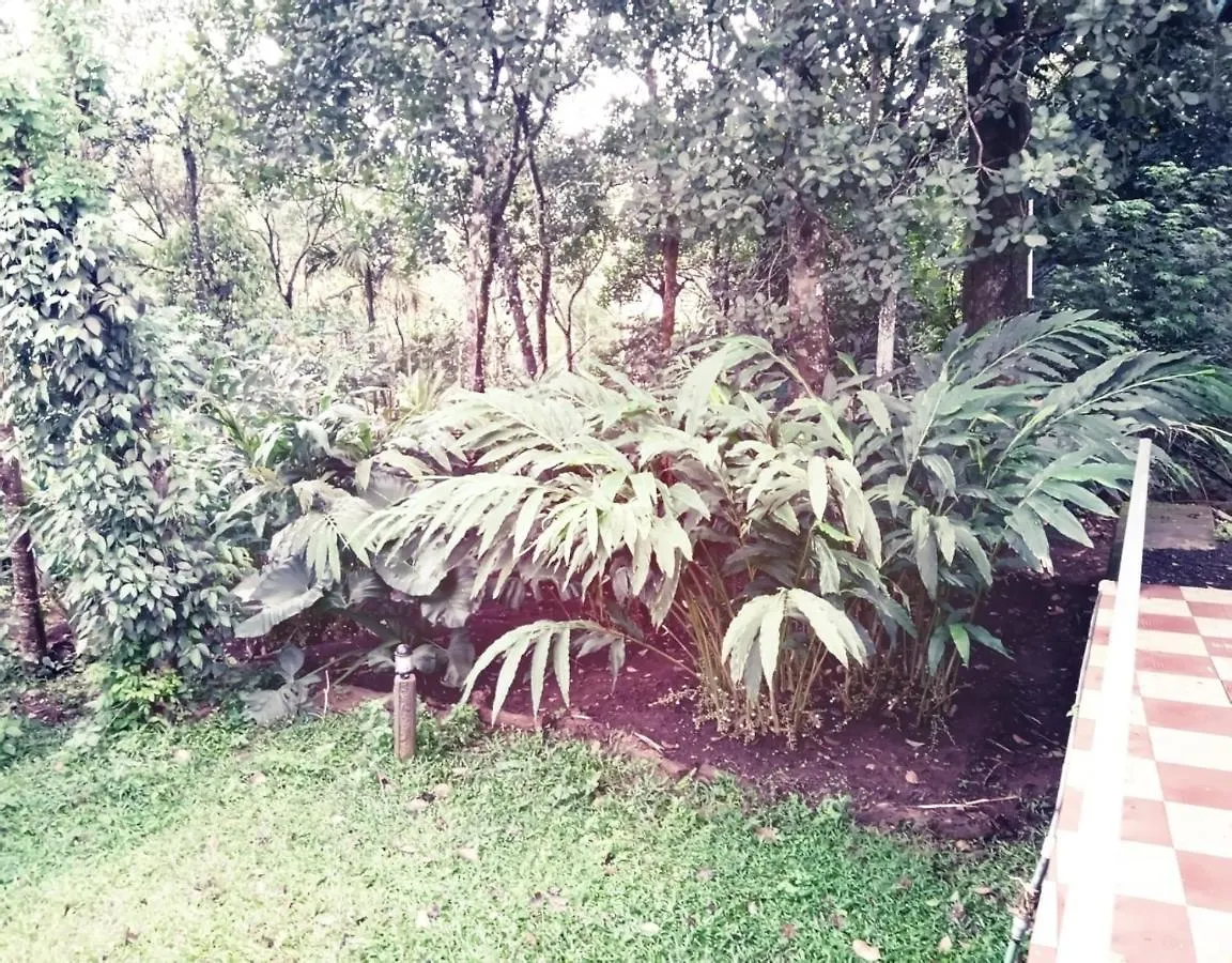 فندق Hill Mist تيكَدِيْ