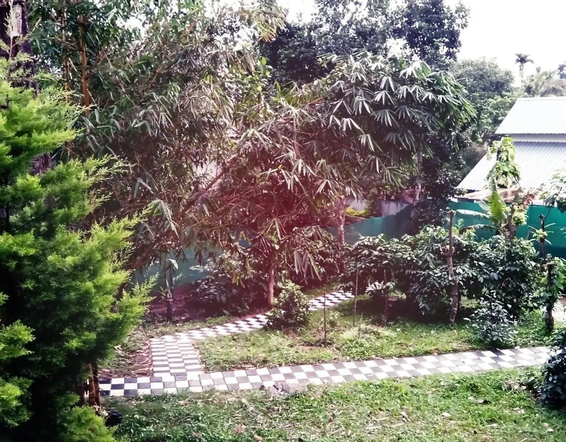 بيت ضيافة فندق Hill Mist تيكَدِيْ