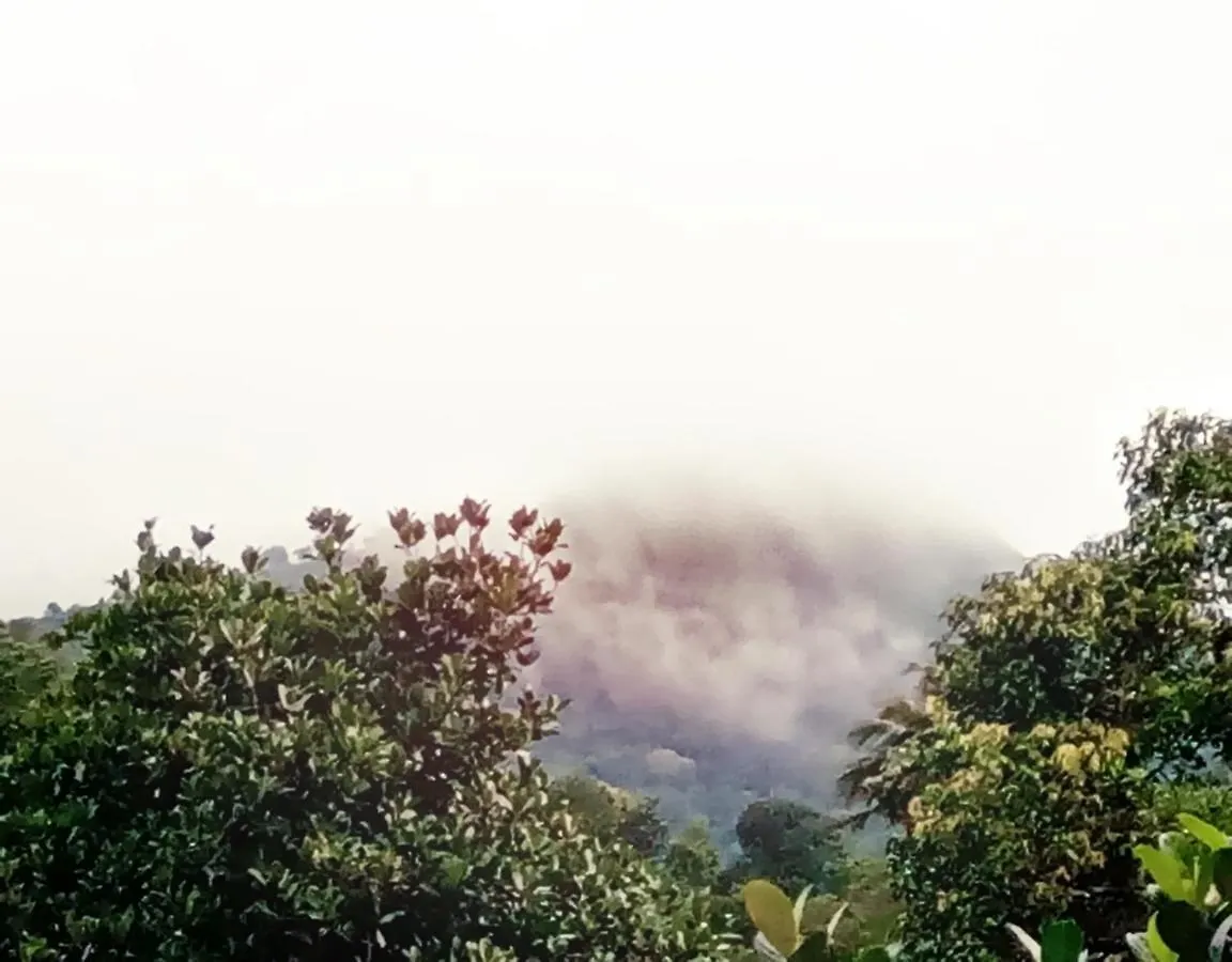 فندق Hill Mist تيكَدِيْ